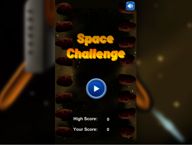 Cover image for Space Challenge