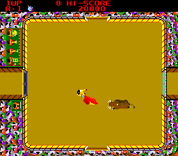 Cover image for Bull Fight