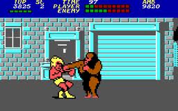 Bad Street Brawler | ClassicReload.com