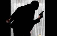 Cover image for David Wolf: Secret Agent