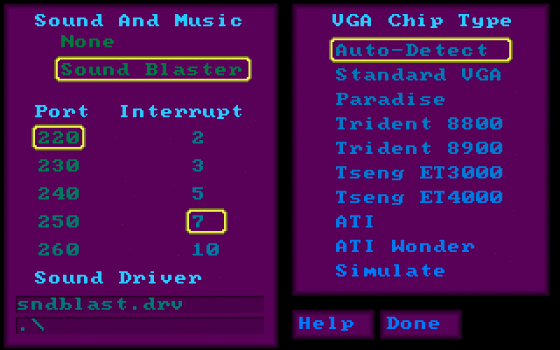 Cover image for Sample