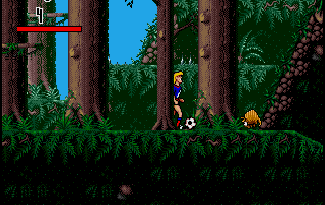 Cover image for Hurricanes