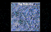 Cover image for Connex