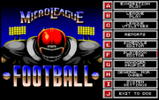 Cover image for MicroLeague Football 2