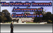 Cover image for The Politically Incorrect Adventures of Gewt Ningrich