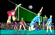 Cover image for Volleyball Simulator