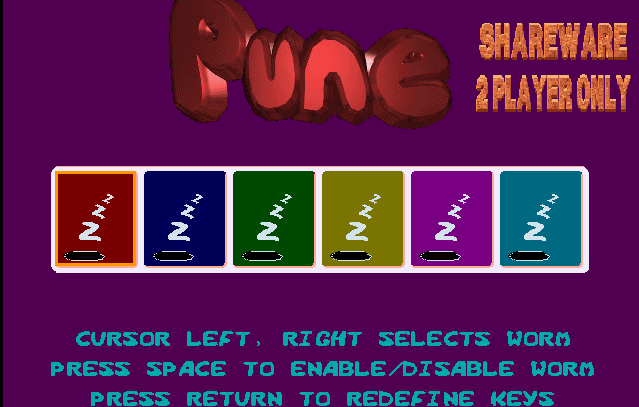 Cover image for Pune Shareware