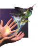 Autodesk Animator - Cover Art DOS Autodesk Animator - Cover Art DOS