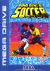Dino Dini's Soccer - Cover Art Sega Genesis