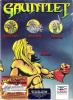 Gauntlet DOS Cover Art Gauntlet DOS Cover Art